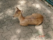 Поездка в Тай 7!!!