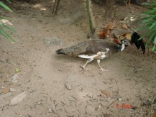 Поездка в Тай 7!!!