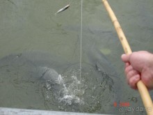 Поездка в Тай 7!!!