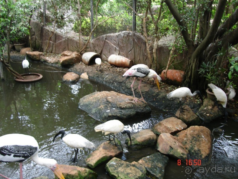 Поездка в Тай 7!!!