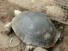 Поездка в Тай 7!!!