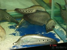 Поездка в Тай 7!!!