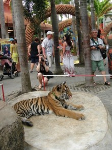 Поездка в Тай 7!!!