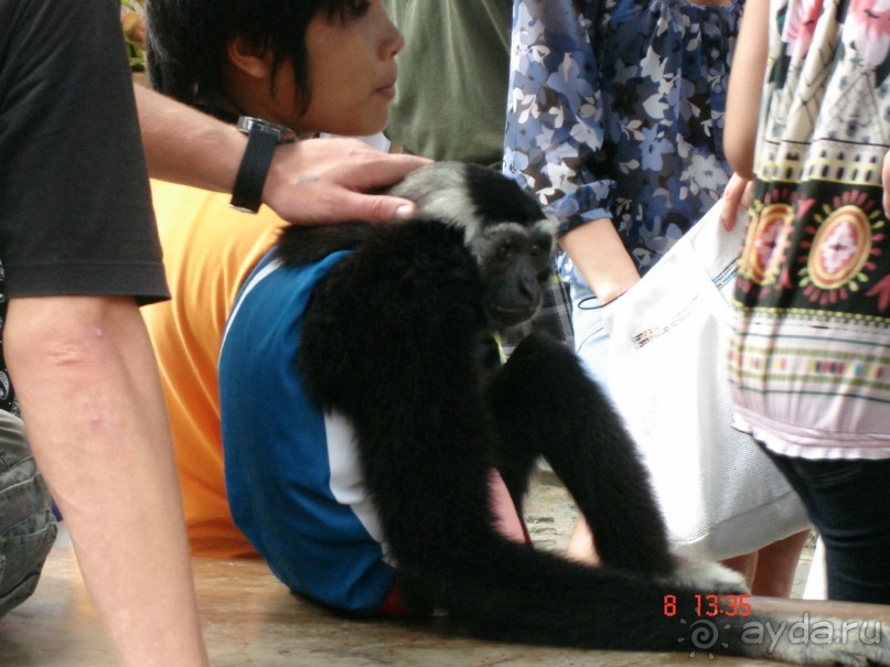 Поездка в Тай 7!!!