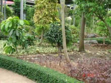 Поездка в Тай 7!!!