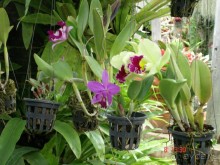 Поездка в Тай 7!!!