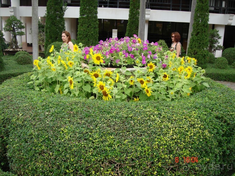 Поездка в Тай 7!!!