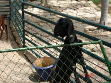 Поездка в Тай 7!!!