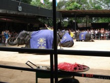 Поездка в Тай 7!!!