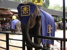 Поездка в Тай 7!!!