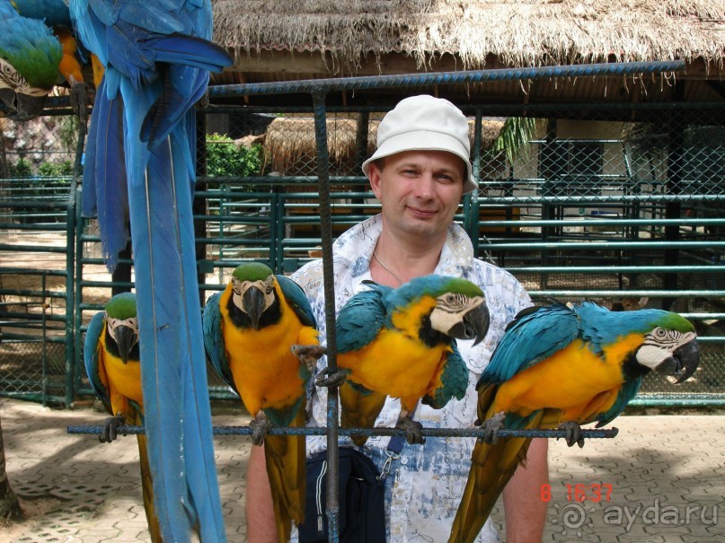 Поездка в Тай 7!!!