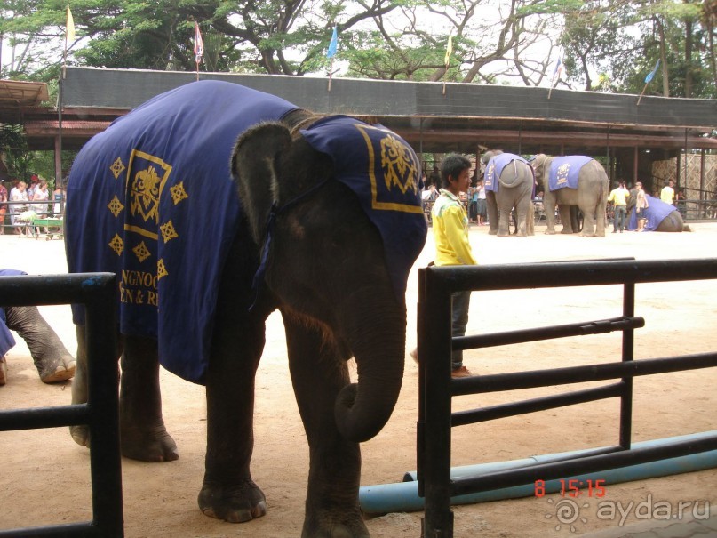 Поездка в Тай 7!!!