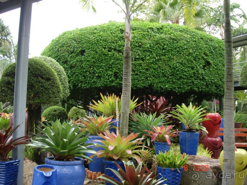 Поездка в Тай 7!!!