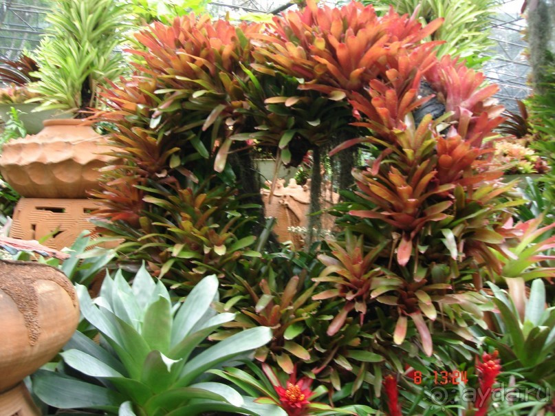 Поездка в Тай 7!!!