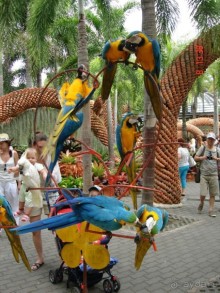 Поездка в Тай 7!!!