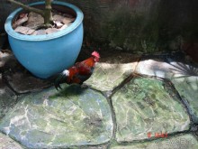 Поездка в Тай 7!!!