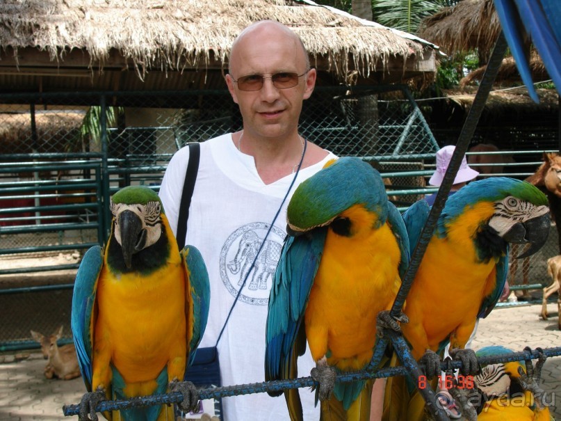 Поездка в Тай 7!!!