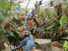 Поездка в Тай 7!!!