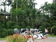 Поездка в Тай 7!!!