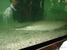 Поездка в Тай 7!!!