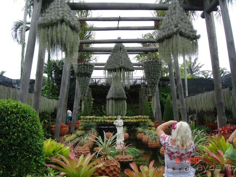 Поездка в Тай 7!!!