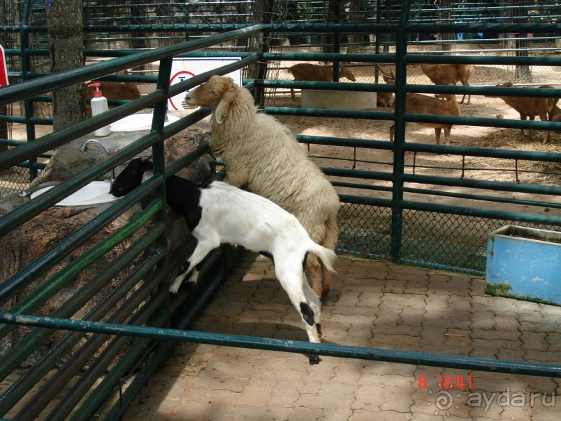 Поездка в Тай 7!!!