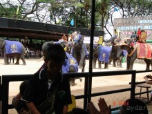 Поездка в Тай 7!!!