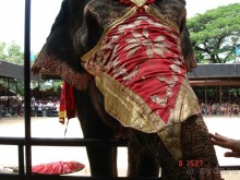 Поездка в Тай 7!!!