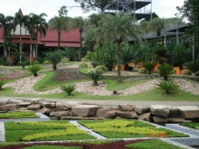 Поездка в Тай 7!!!