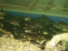 Поездка в Тай 7!!!