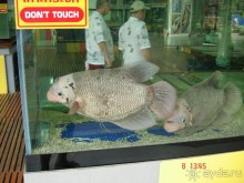 Поездка в Тай 7!!!