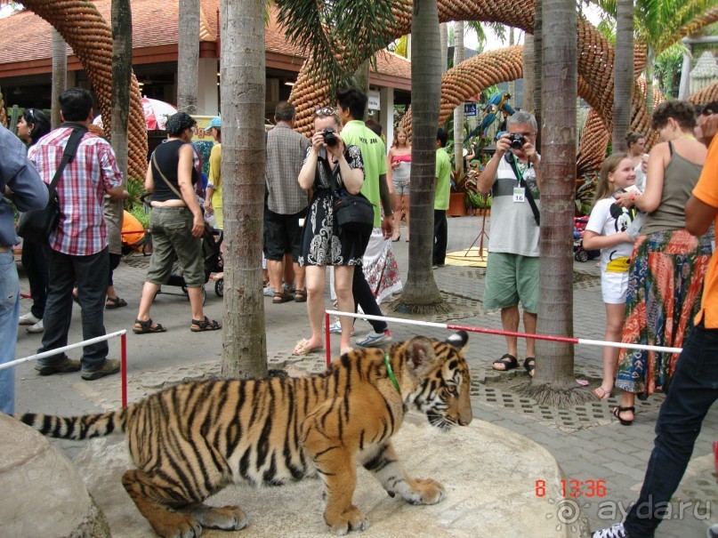 Поездка в Тай 7!!!