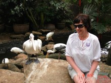 Поездка в Тай 7!!!