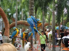 Поездка в Тай 7!!!