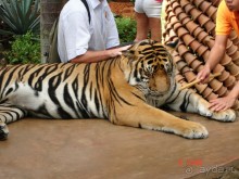 Поездка в Тай 7!!!