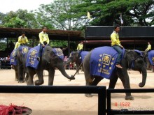 Поездка в Тай 7!!!