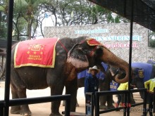 Поездка в Тай 7!!!