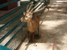 Поездка в Тай 7!!!