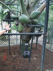 Поездка в Тай 7!!!