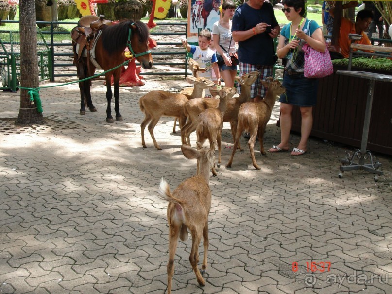 Поездка в Тай 7!!!