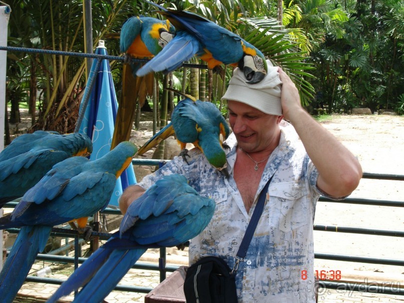 Поездка в Тай 7!!!