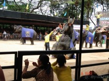 Поездка в Тай 7!!!