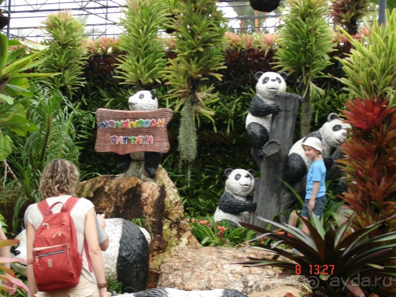 Поездка в Тай 7!!!