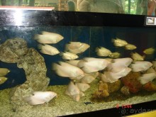 Поездка в Тай 7!!!