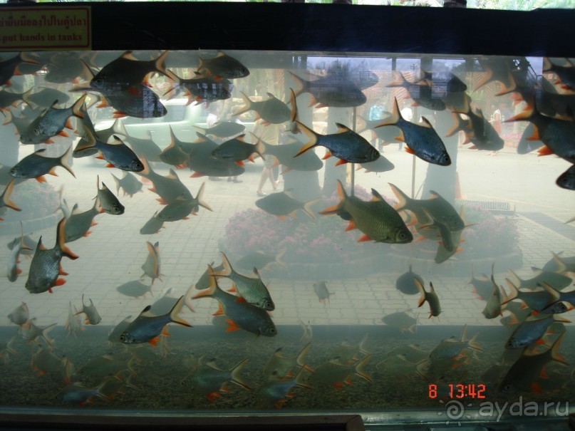 Поездка в Тай 7!!!