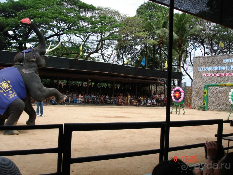 Альбом рассказа "Поездка в Тай 7!!!"