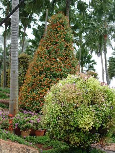 Поездка в Тай 7!!!