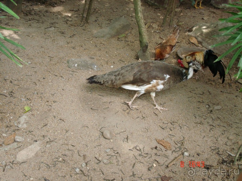 Поездка в Тай 7!!!