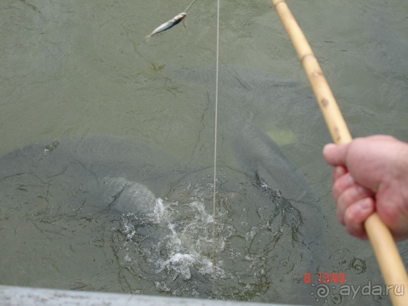 Поездка в Тай 7!!!