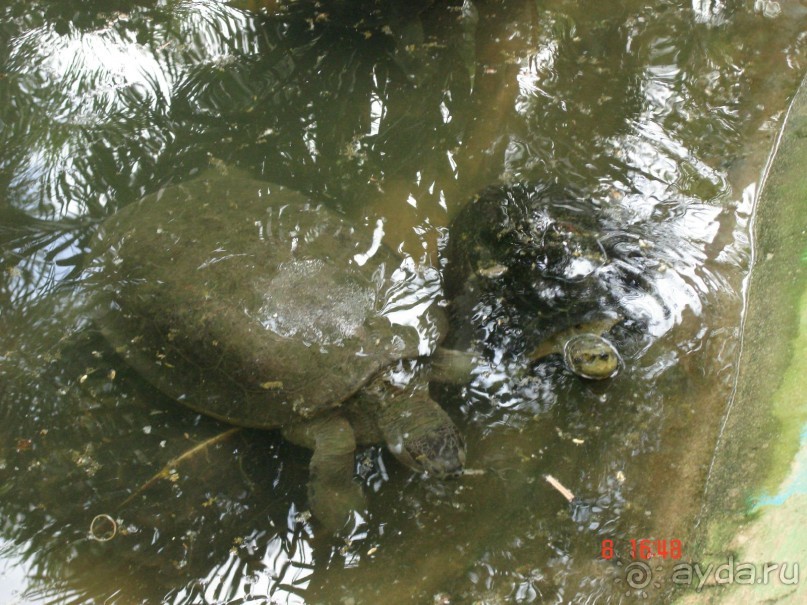 Поездка в Тай 7!!!